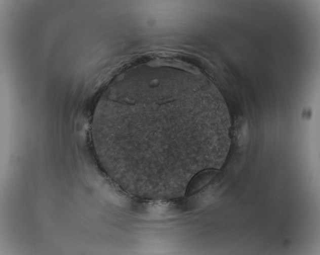 X0000111350235200907241206