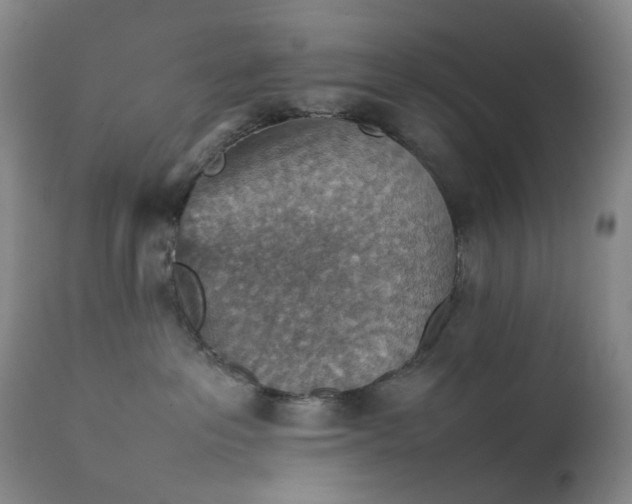 X0000111350237200907241206