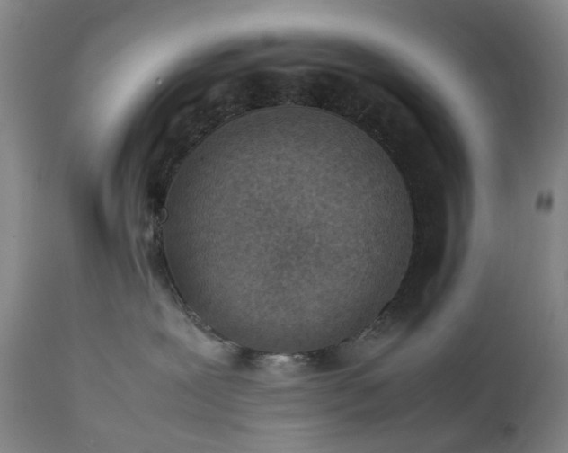 X0000111350239200907241206