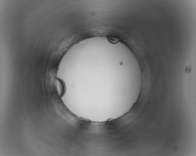 X0000111350240200907241206