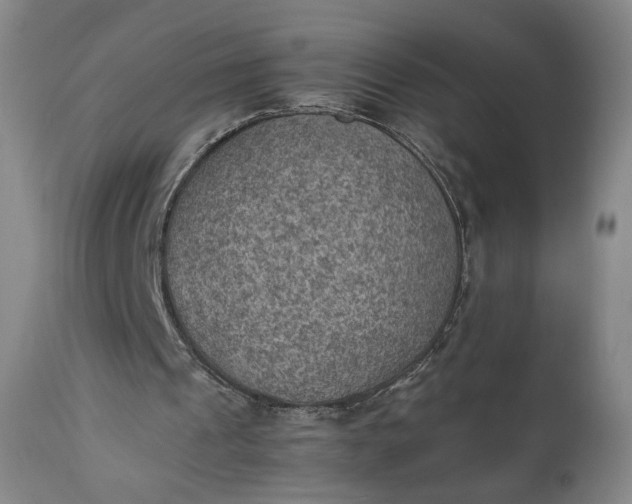 X0000111350241200907241205