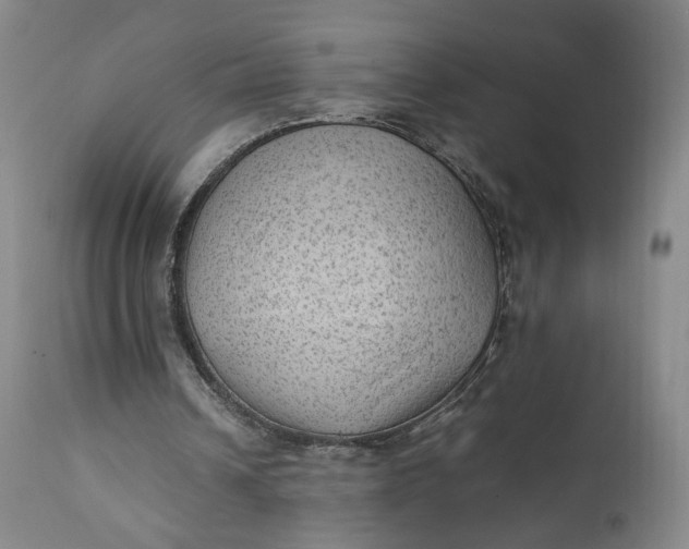 X0000111350242200907241205