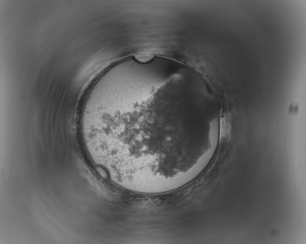 X0000111350243200907241205