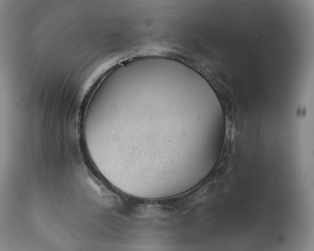 X0000111350244200907241205