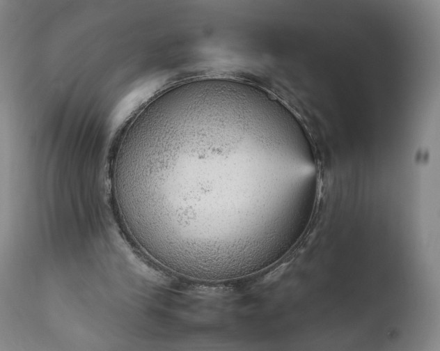 X0000111350245200907241205