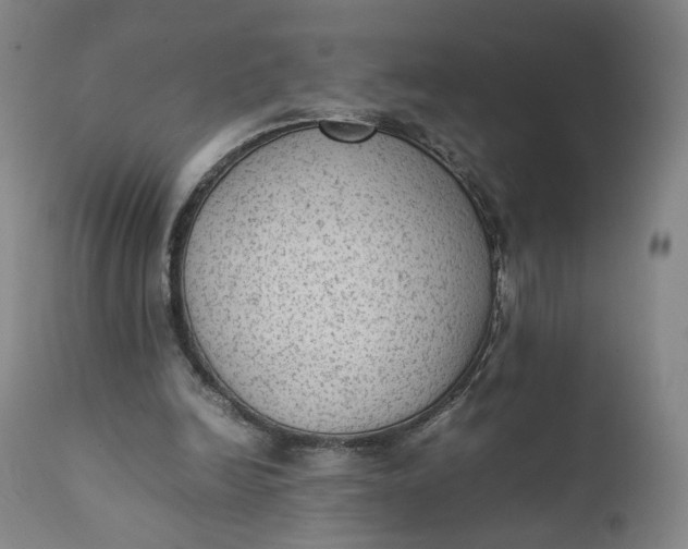 X0000111350246200907241205