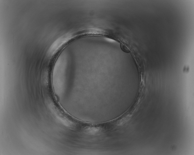 X0000111350247200907241205