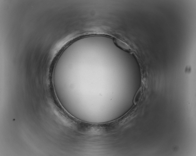 X0000111350248200907241205