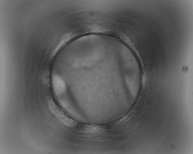 X0000111350249200907241205