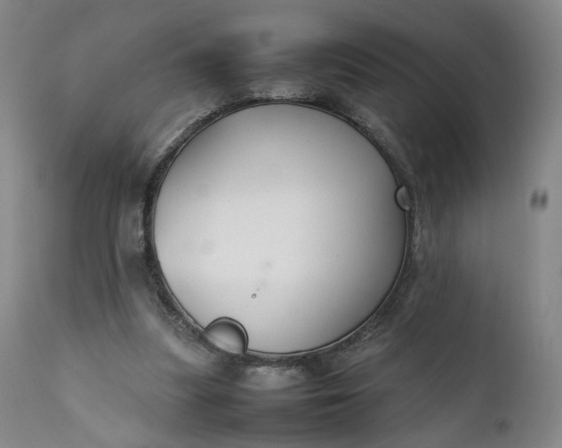 X0000111350251200907241205