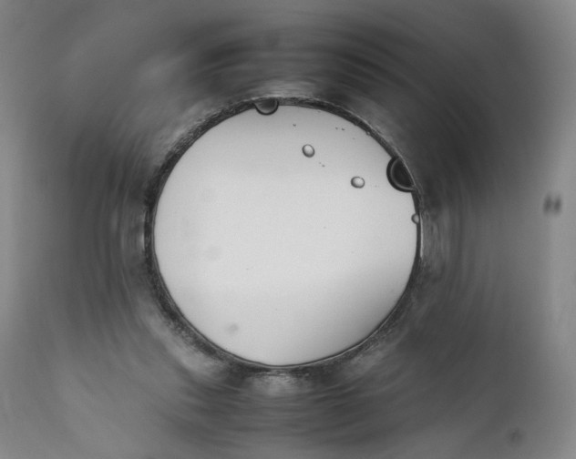 X0000111350253200907241205