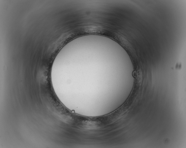 X0000111350255200907241205