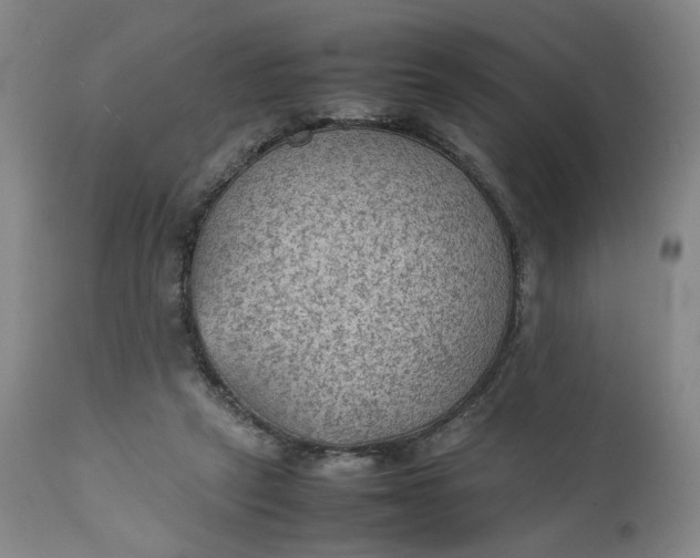 X0000111350257200907241205