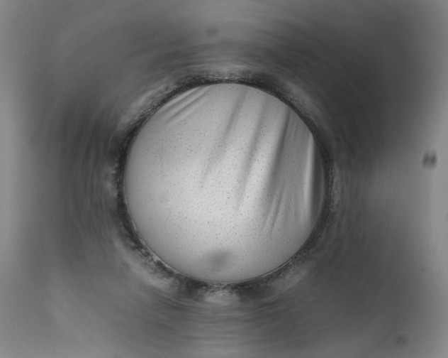 X0000111350258200907241205