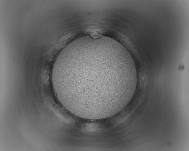 X0000111350259200907241205