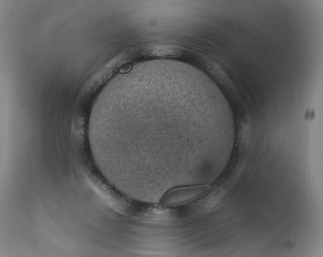 X0000111350260200907241205