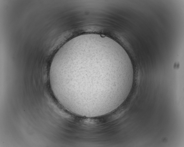 X0000111350261200907241205