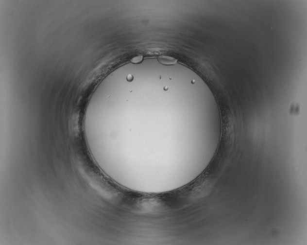 X0000111350262200907241205