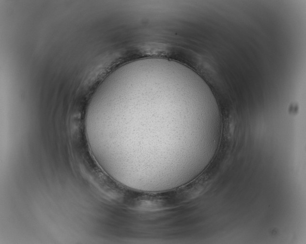 X0000111350263200907241205