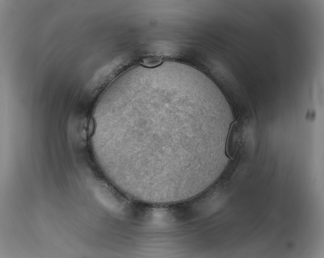 X0000111350264200907241205