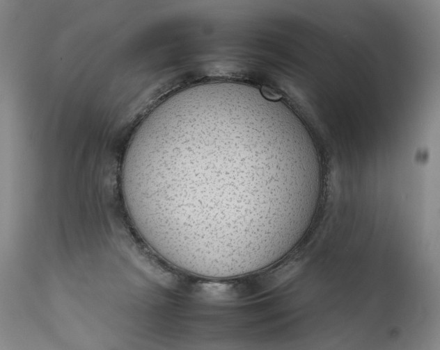 X0000111350265200907241205