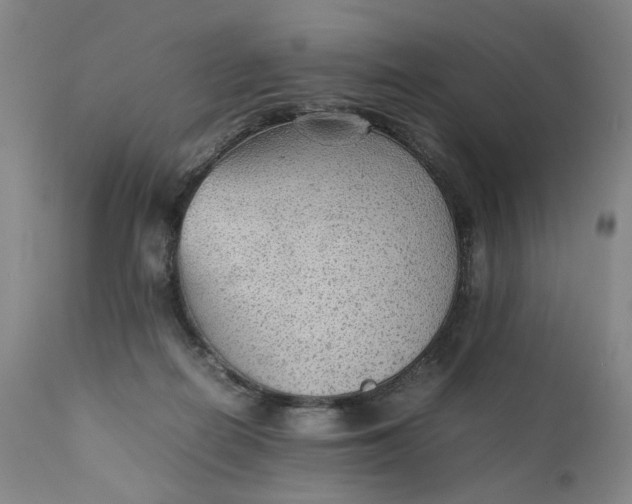 X0000111350266200907241205