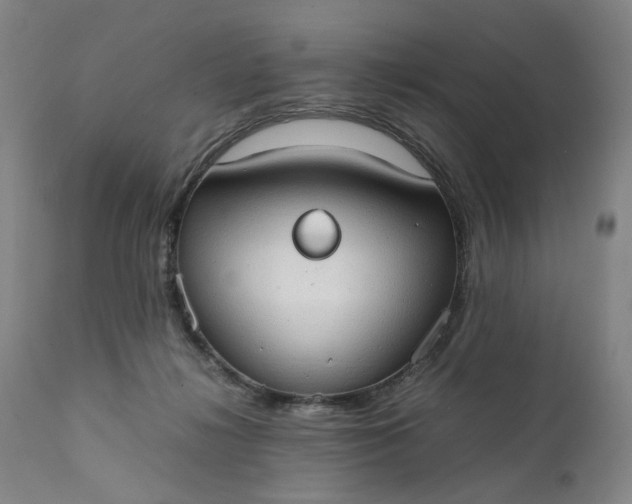 X0000111350268200907241205