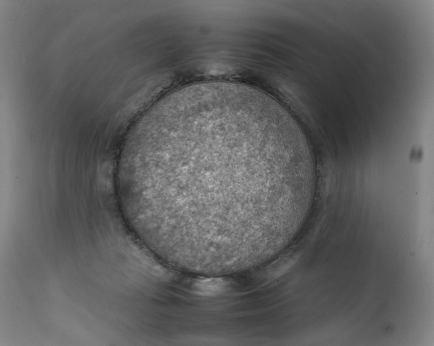 X0000111350269200907241205