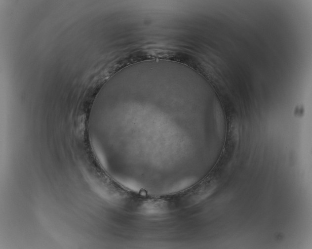 X0000111350271200907241205