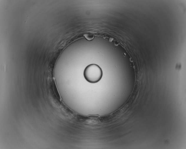 X0000111350272200907241205