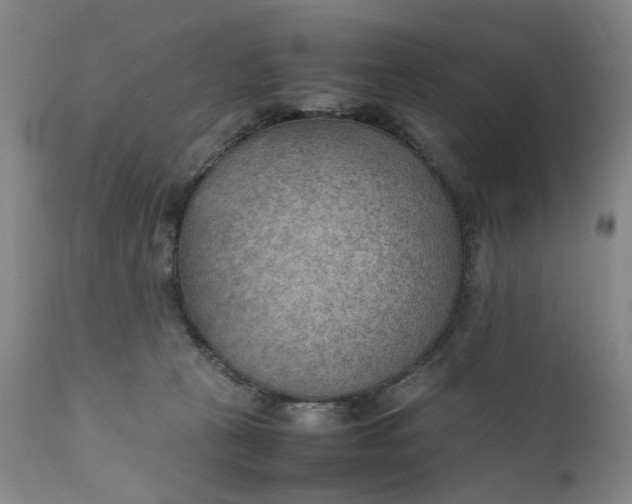 X0000111350273200907241205