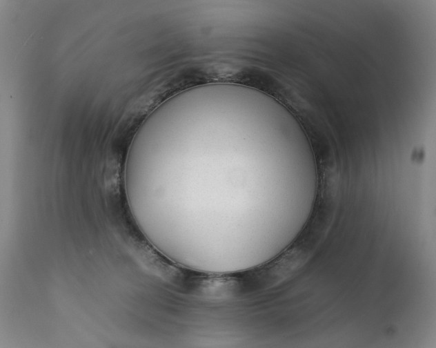 X0000111350274200907241205