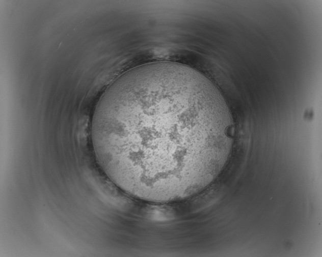 X0000111350275200907241205