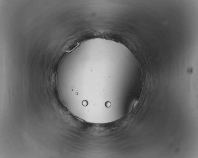 X0000111350276200907241205