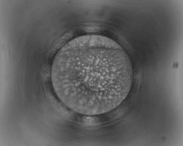 X0000111350277200907241205