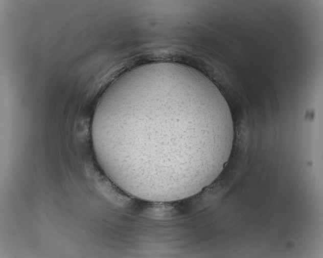 X0000111350278200907241205