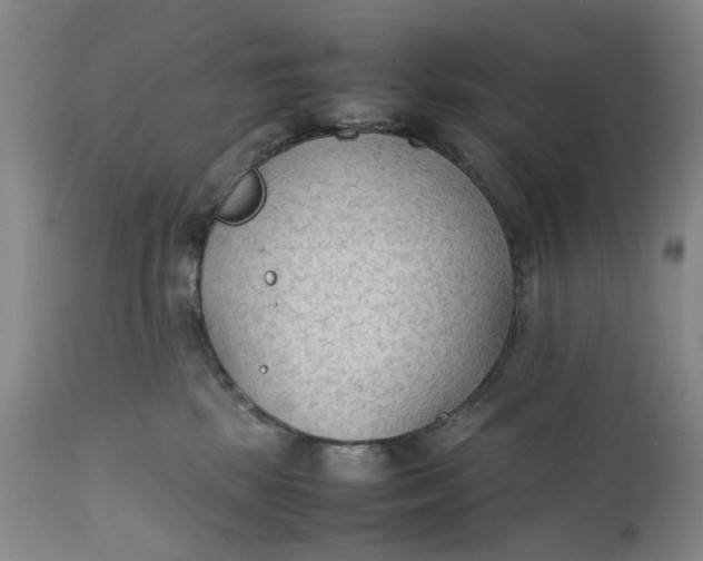 X0000111350281200907241205