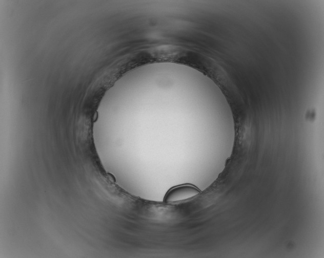 X0000111350283200907241205