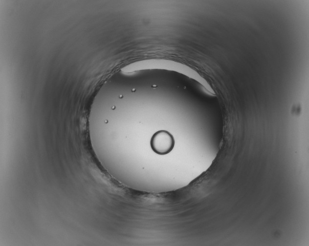 X0000111350284200907241205