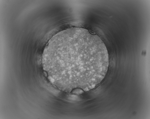 X0000111350285200907241205