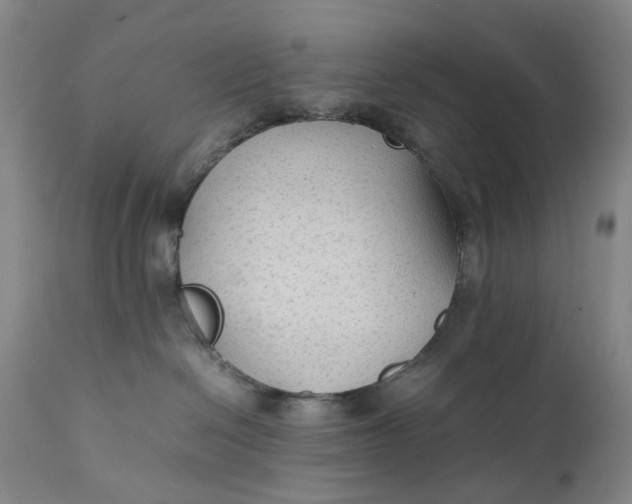 X0000111350286200907241205