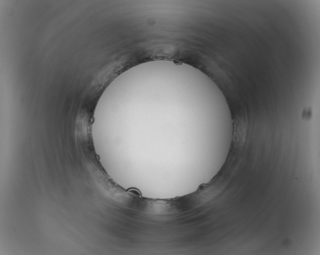 X0000111350287200907241205