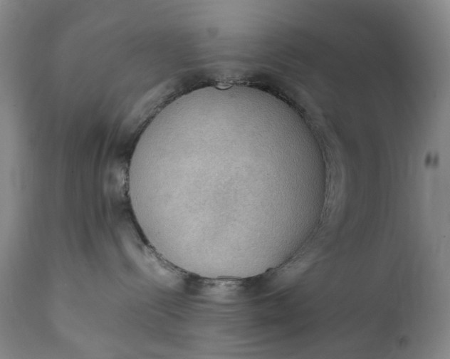 X0000111350288200907241205