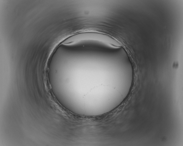 X0000111350289200907241205