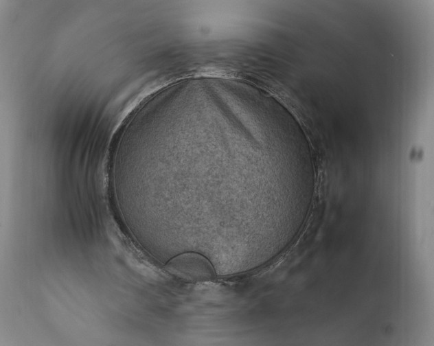 X0000111350290200907241205