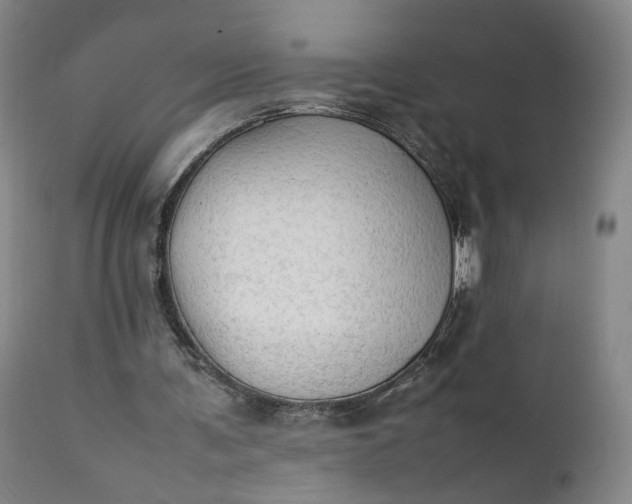 X0000111350291200907241205