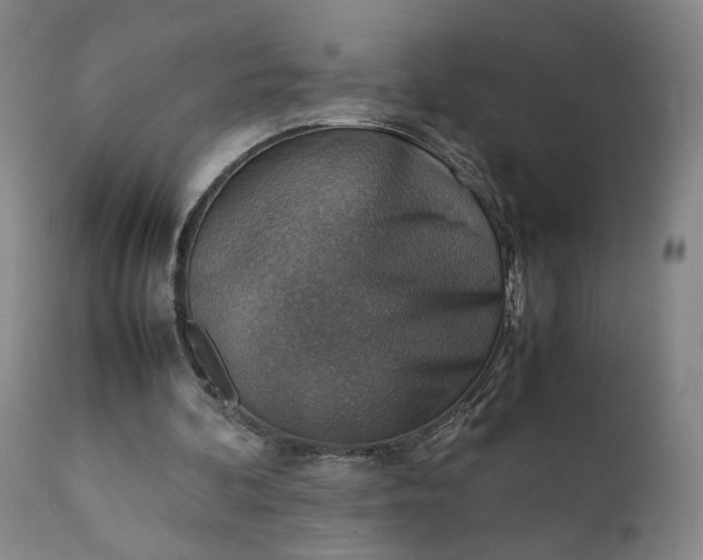 X0000111350292200907241205