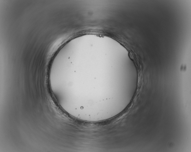 X0000111350293200907241205