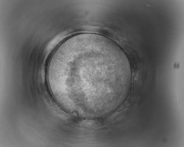 X0000111350294200907241205