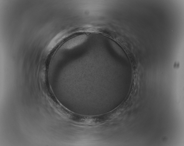 X0000111350295200907241205